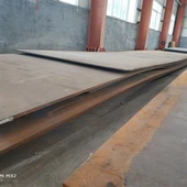 NM 500ウェアプレート